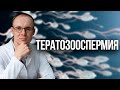 Тератозооспермия. Врач уролог-андролог. Москва.