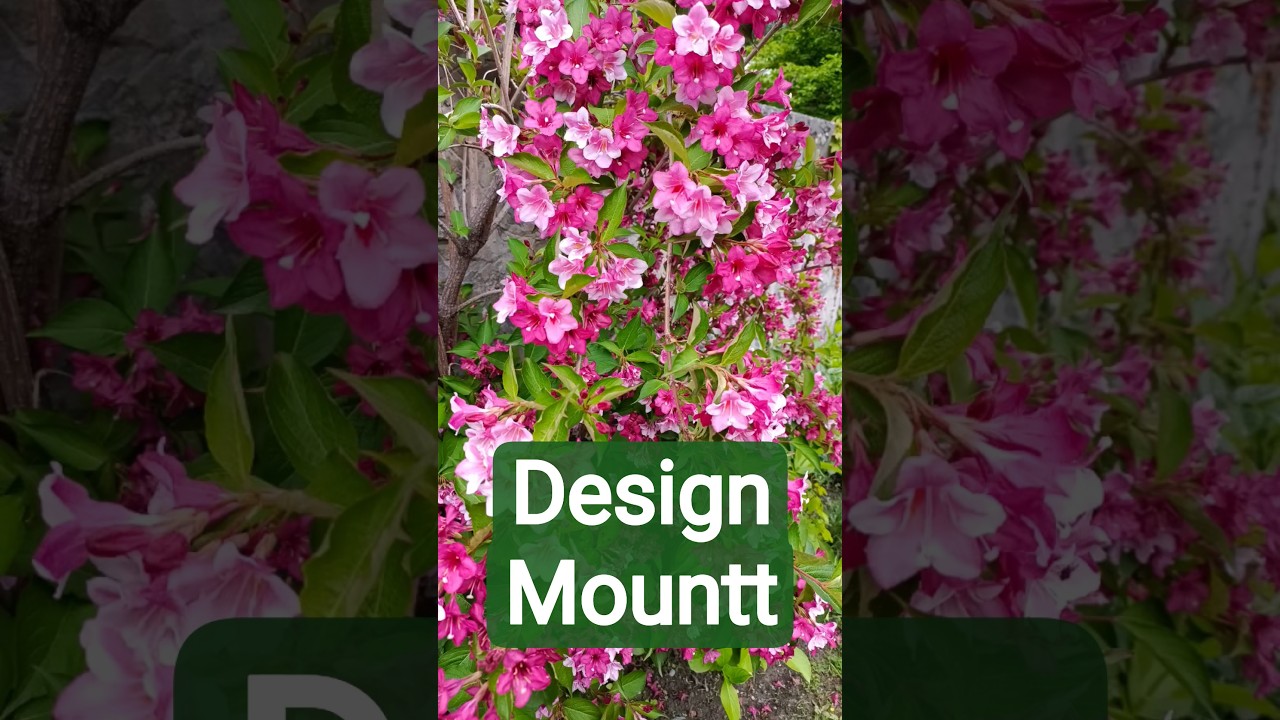 Garden Relaxing Nature 🌿 | Peaceful Natural Sounds & Scenery | 