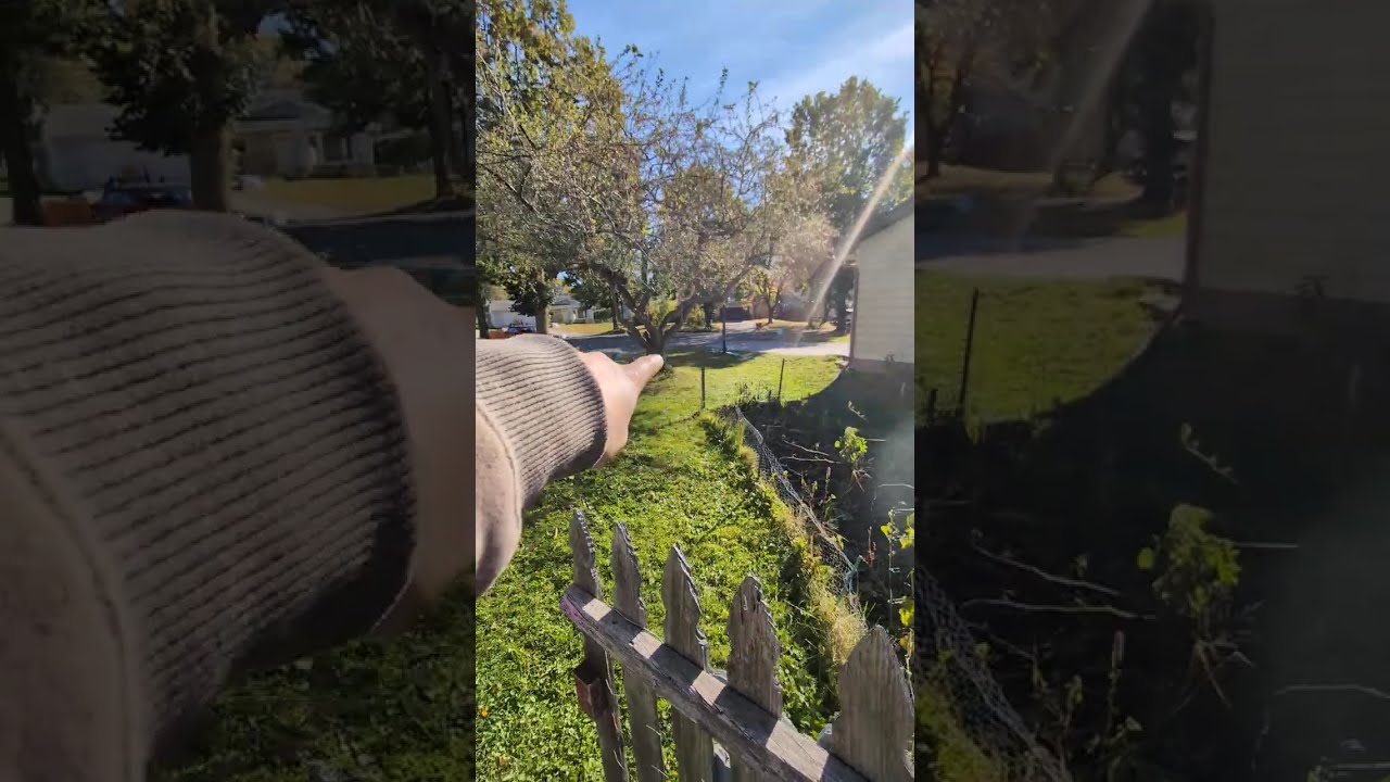 Estimate Video For A Spring Project