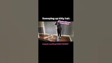 We spend half of our life cleaning up after cats. #junkremoval #beforeandafter