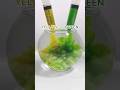 Yellow + Green Color Mixing 🍋🌿 | The Final Color Will Surprise You #shorts #experiment #satisfying