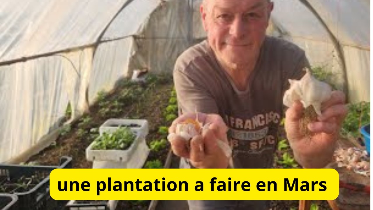 Le  live du 10 mars    5 h du matin avec tous!