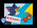 Tom y Jerry en Español | ¡La primavera significa que es la hora de la siesta! | WB Kids