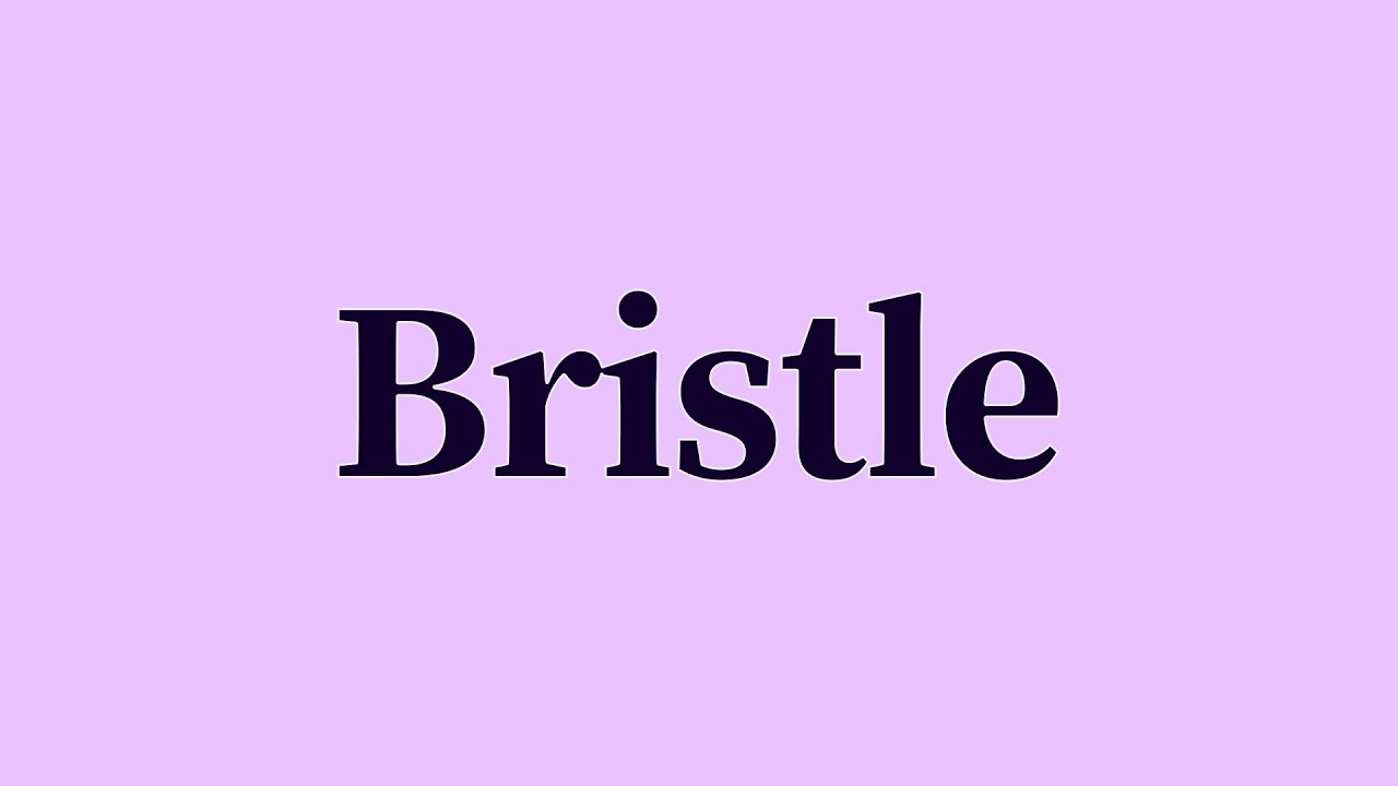 Bristle Pronunciation YouTube