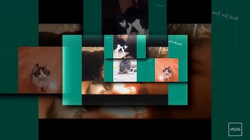 Shuric scan missing some parts test