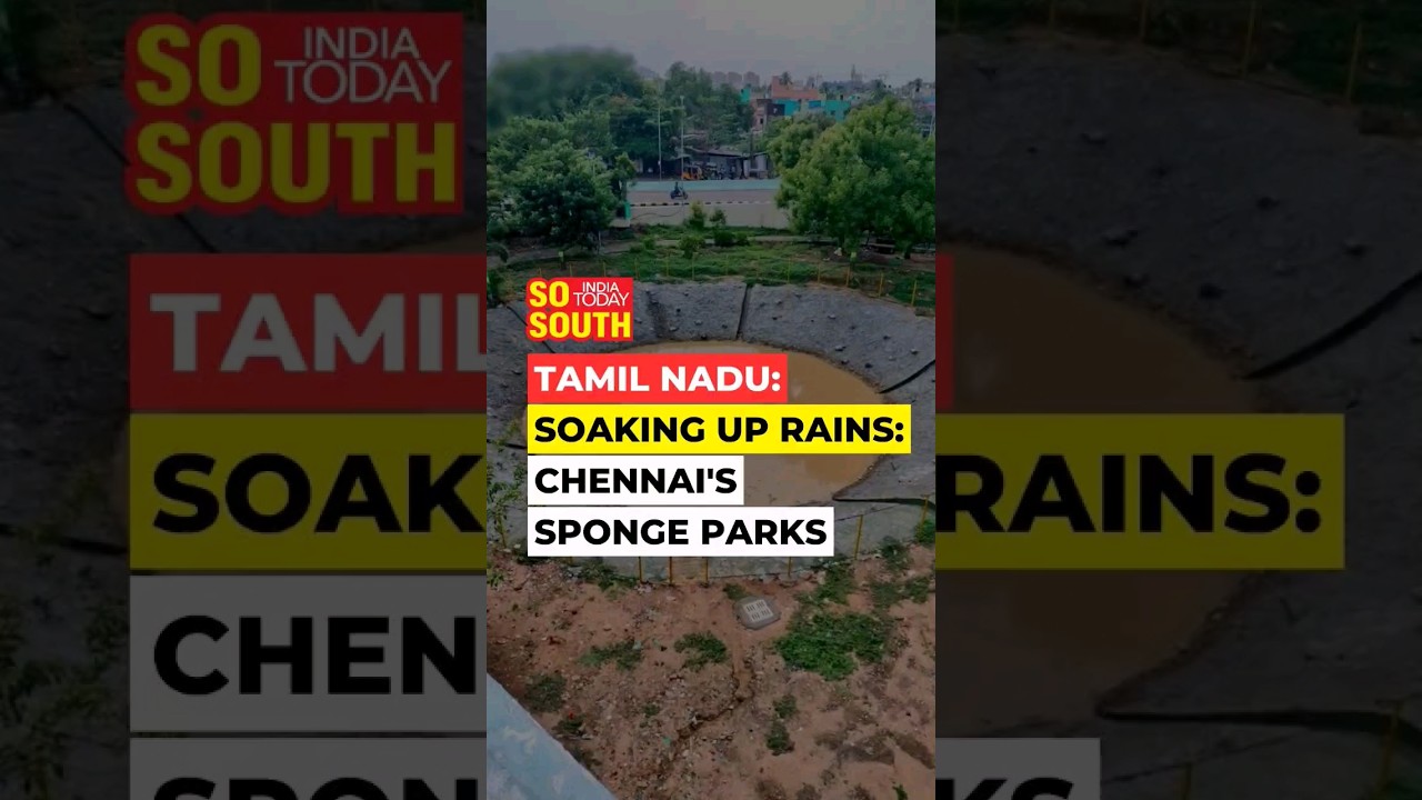 Tamil Nadu: Sponge Parks to Be Set up in Chennai to Prevent Flooding |