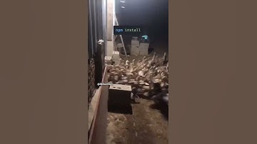 npm install 😂 #todaytrending #nodejs #viral #a2d #npm #coding #developer #funny