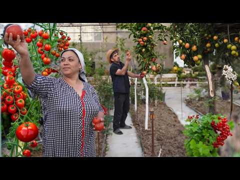 Secrets of Greenhouse Gardening Revealed! (1 Week Experiment)