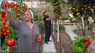Раскрываем секреты Урожайность Теплицы: 1 неделя в Саду - Релаксационная деревенская жизнь