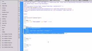 Famous Dreamweaver CS4 Tutorial - 37 - Finishing up Forms Net Worth
