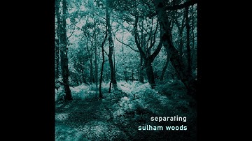 Sulham Woods (official audio)