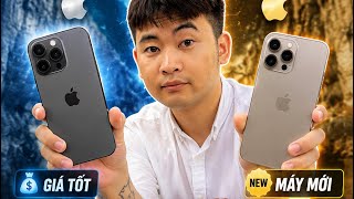 15 Pro Max hay 16 Pro Max mới là chiếc iPhone đáng mua nhất 2026?