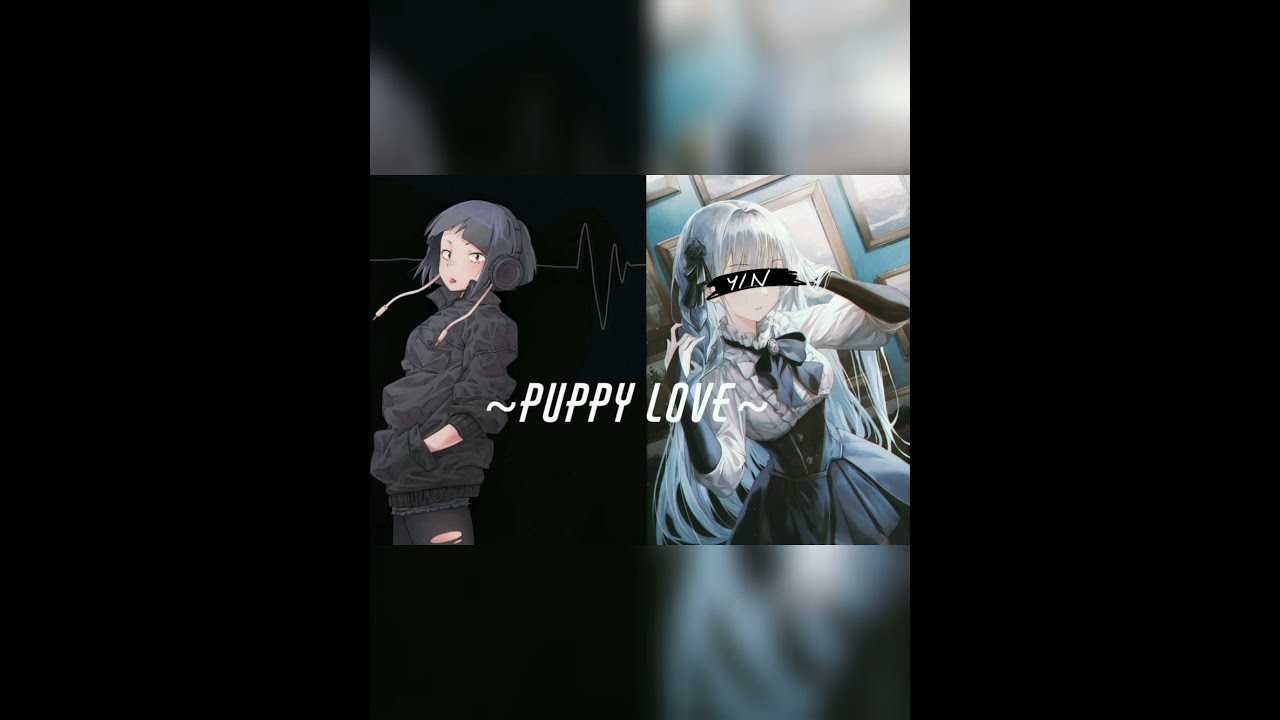 Puppy Love //Jirou x female y/n//