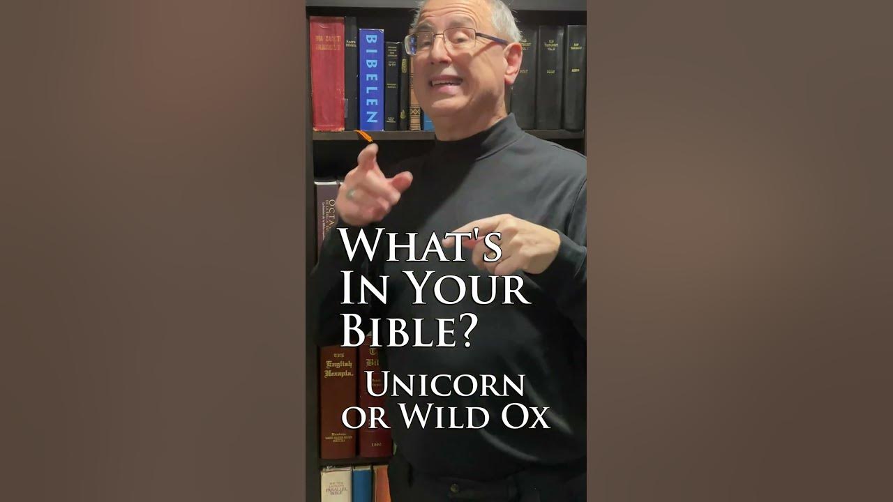What’s In Your Bible Unicorns or Wild Ox YouTube