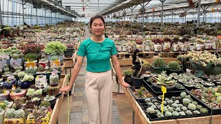 Korean succulents farm visiting by cactus & succulents lover ♥️🌵! Awesome plants tour!