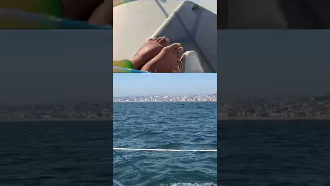 Sunset sailboat ride by Marina Del Rey and Manhattan Beach 
