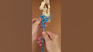 Learn Double Loop Bowline Tying Skills