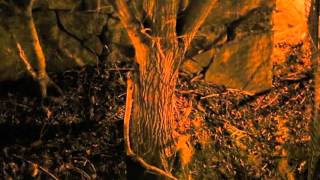 HUNT - THIS CANNOT BE (Official Video)
This Cannot be is taken from Hunt´s upcoming album Branches to be released 8th of April 2016 by Lövely Records.
https://www.facebook.com/huntgbg
https://open.spotify.com/artist/57h5E9BvJ7QvGoX2oYYSnx HUNT - THIS CANNOT BE (Official Video)