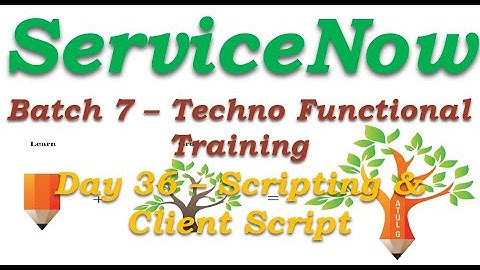 Batch 7 || Day 36 |Scripting - Client Script ||Techno Functional Training || San Diego