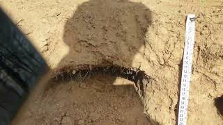 Xp Deus Toprak Altı Teneke Kola 62 Cm Test