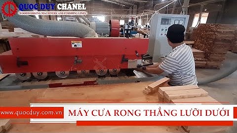 SHK 3200 Máy Cưa Rong Ripsaw Rong Cạnh Thẳng Lưỡi Dưới Nhiều Lưỡi - Máy Cưa Rong Ripsaw