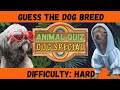 Guess The Dog Breed | Animal Quiz | Dog Special