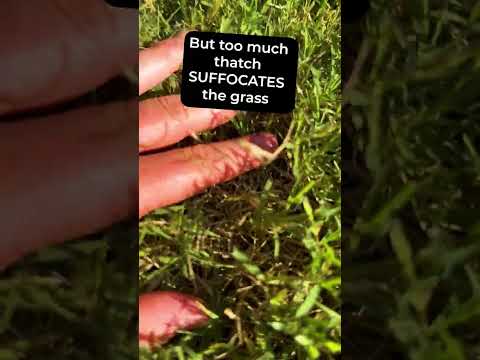 Elite Lawn Care video
