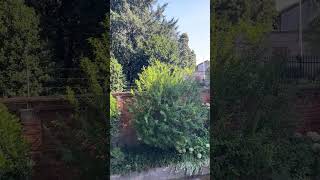 IMG 8166