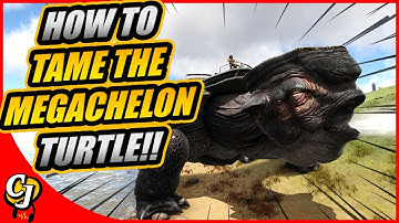 HOW TO TAME THE GIANT TURTLE THE MEGACHELON IN ARK GENESIS!! || ARK GENESIS!