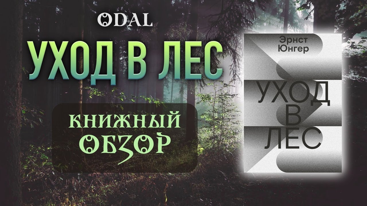 «Уход в лес» – Эрнст Юнгер // Книжный обзор - YouTube