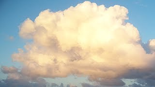 Writer's Life |  The Lull between Storms