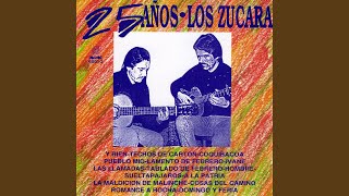Video thumbnail of "Los Zucará - Cosas del Camino"