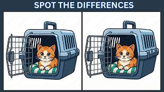 Details Spot the 3 Differences | 10 Brain Teasers to Test Your IQ  🔍 News