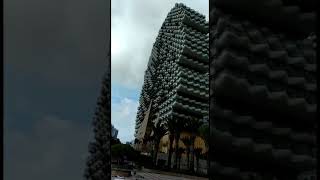 Дома деревья Китай Хайнань 