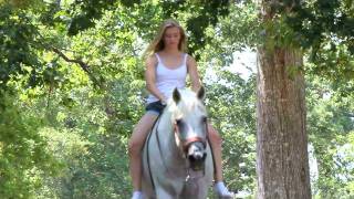 Mackenzie and Slick - Wild Horses by Natasha Bedingfield