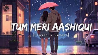 Tum Meri Aashiqui(song) Hindi | Slowed And Reverb | Instgram Tending song #lofisong #lyrics #sadsong