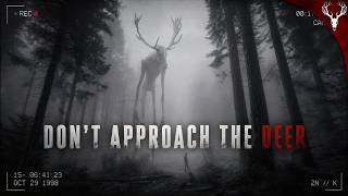 There's Something WRONG with the Deer in West Virginia