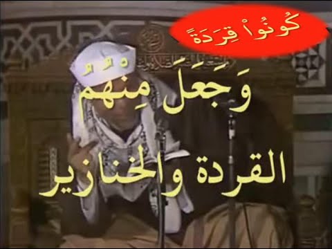ما معنى مسخ الله للذين اعتدوا يوم السبت بان يكونوا قردة خاسئين