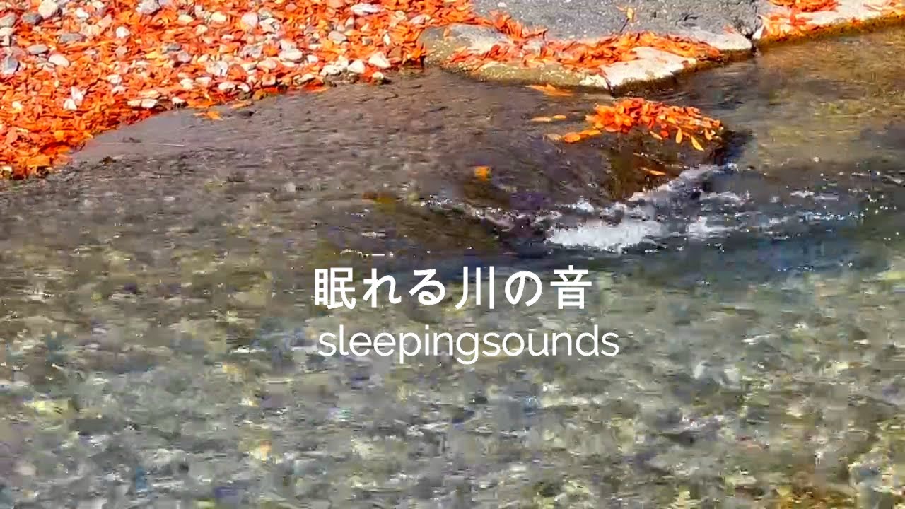 【癒しの自然音】眠れる川のせせらぎ音3時間/阿蘇南山麓・青葉の瀬/babbling sound of river/natural