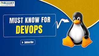 Celebrity Package Management Fundamentals Every DevOps Engineer Must Know Wealth