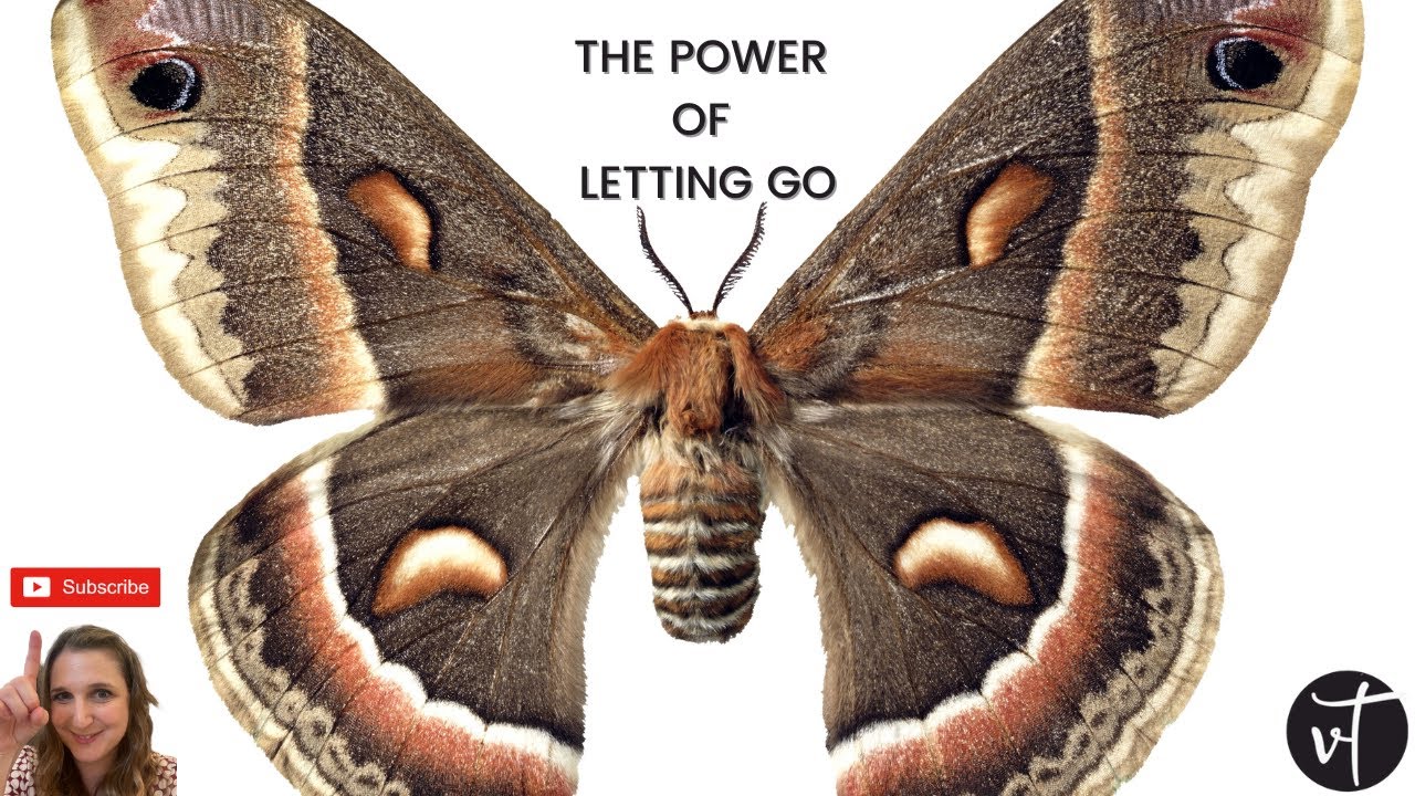 The power of letting go 🕊️