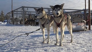 Lapland 2018 - The Movie