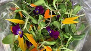 Formation Farm Salad CSA Share Week 2- 5/8/2019