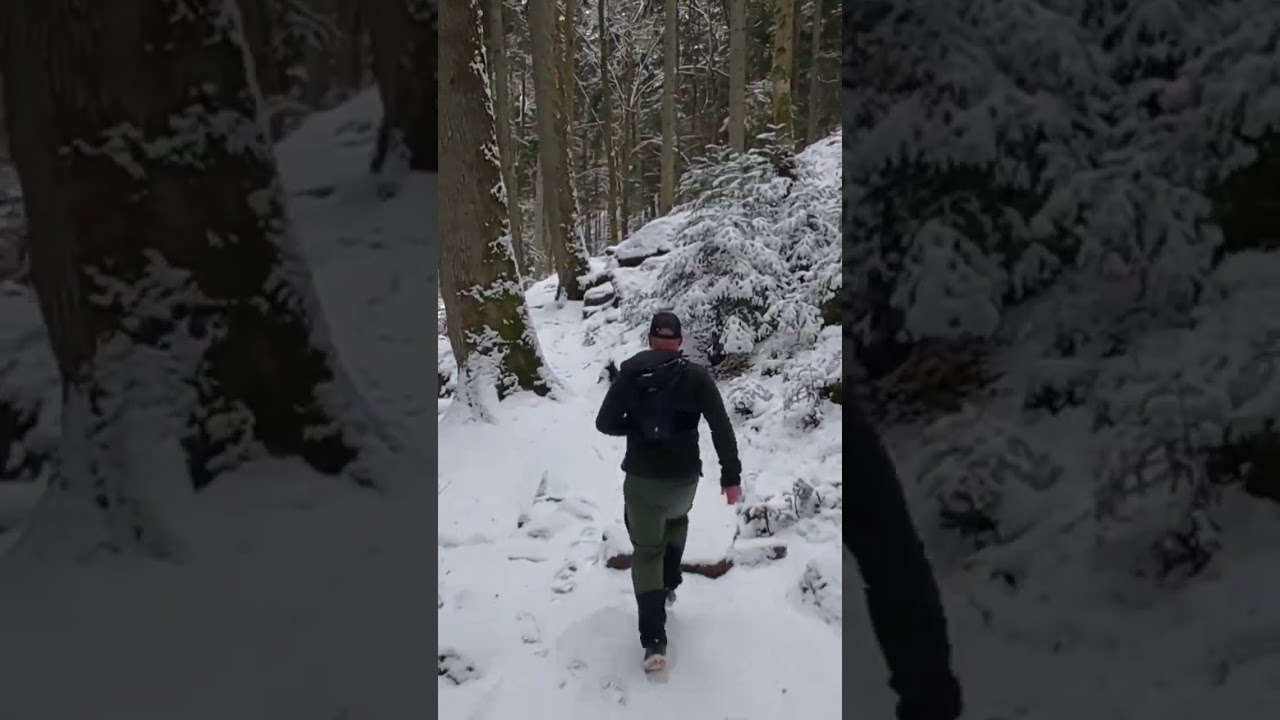 Trail running the Beginning 