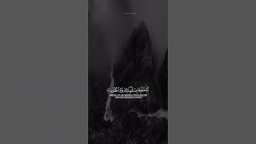 تلاوة القارئ عمـر الدريويز ، حالات واتساب 🤎🌿