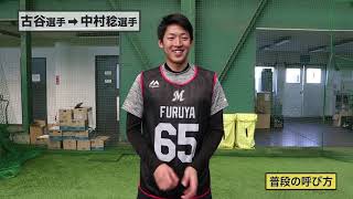 【ルーキー同士で他己紹介!!】マリーンズ・古谷から中村稔へ 2019/02/06