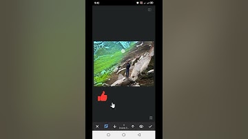 Snapseed photo editing kaise Kare 2021||1 click photo edit 30 second photo editing|| #Shorts #short