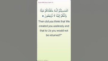 سوره مؤمنون، آیه 115 – www.Quran.is