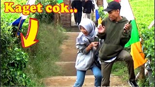 Bushman prank: Kamuflase di kebun teh