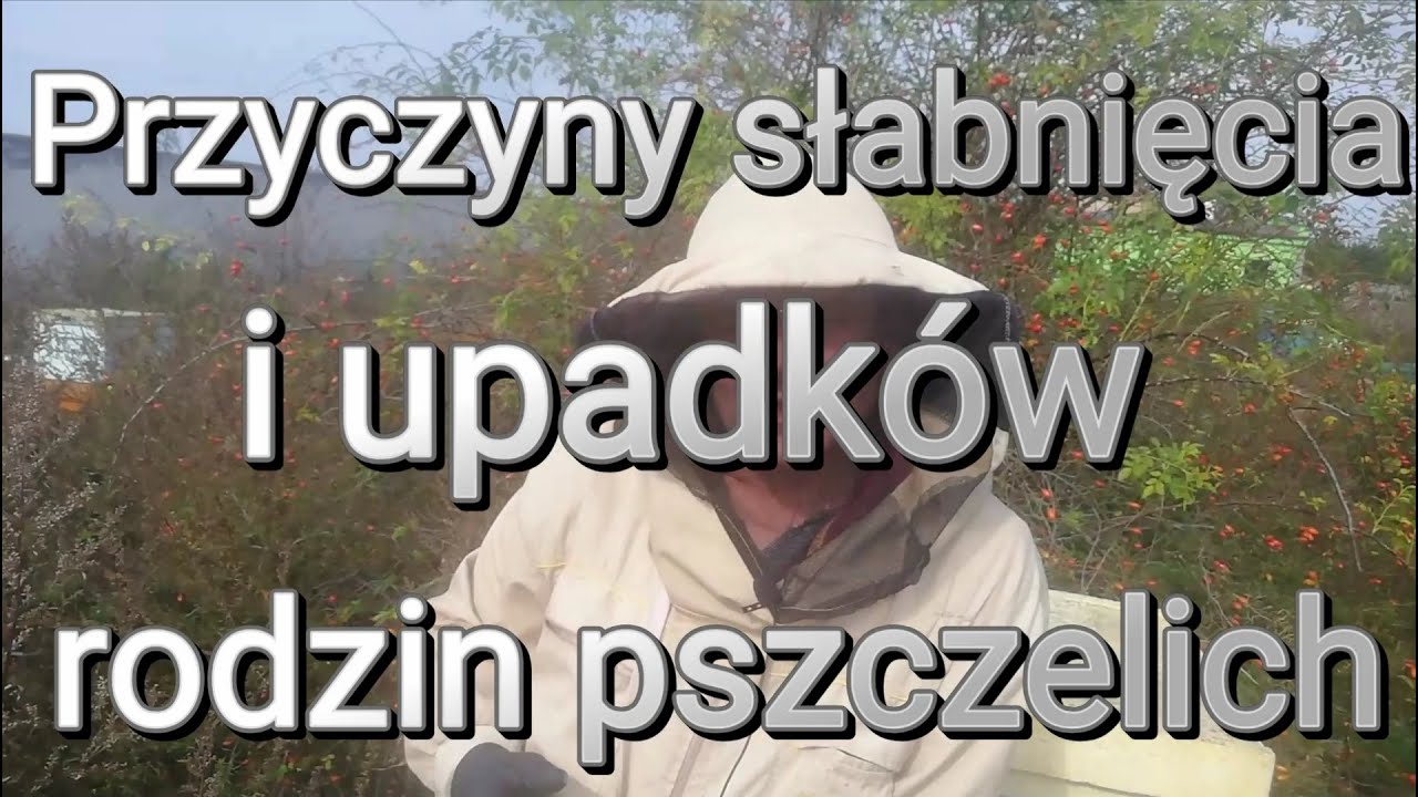 Przyczyny upadków i słabnięcia rodzin pszczelich.